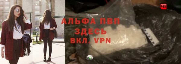 ECSTASY Пересвет