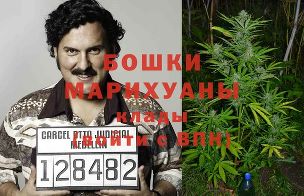 ECSTASY Пересвет