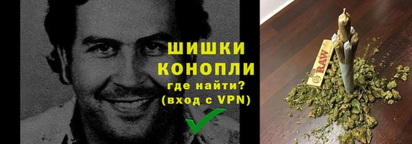 ECSTASY Пересвет